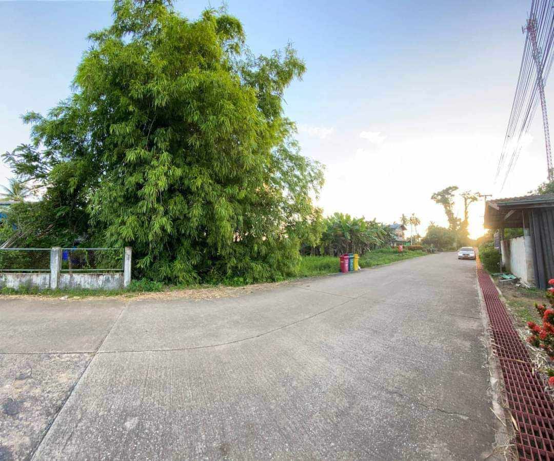 ที่ดินแปลงสวย หน้าติดถนน แหลมสิงห์ จันทบุรี 11-1-42