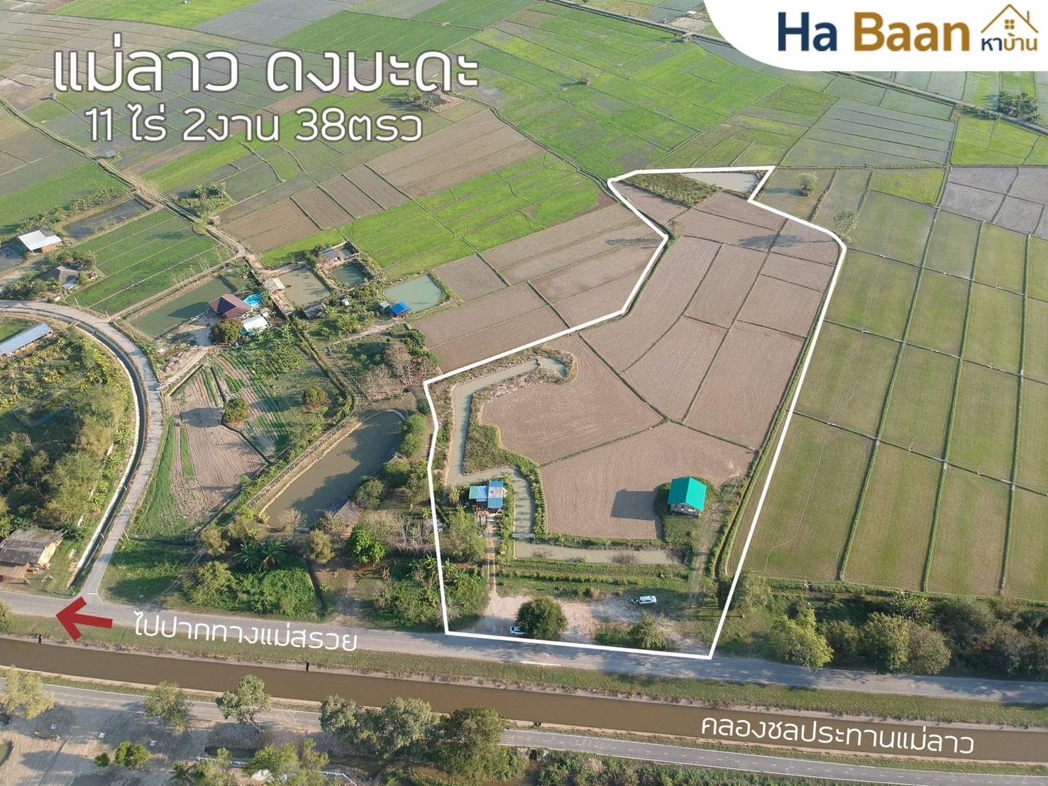 ขายที่ดินเชียงราย ติดถนนสาธารณะ สาธารณูปโภคครบครัน ในอำเภอแม่ลาว 3-1-21