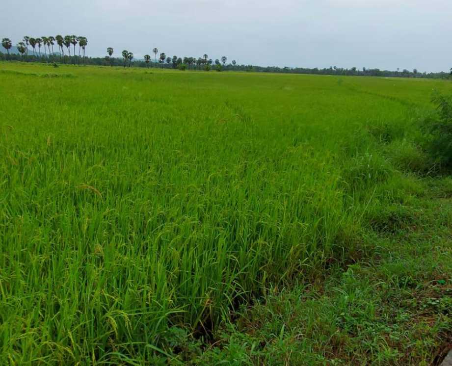 ที่ดินวิวเขา บ้านลาด เพชรบุรี 4-2-4