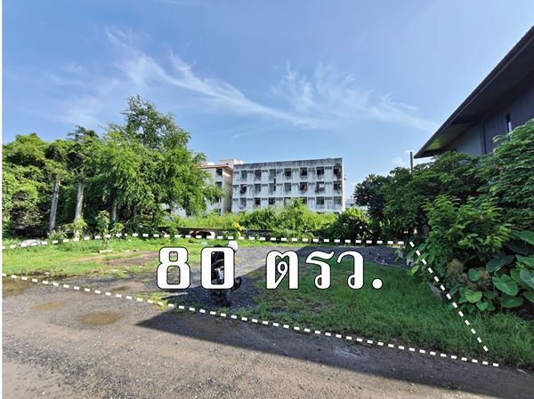 ขายที่ดินกรุงเทพ ลาดกระบัง ติด ถ.ร่มเกล้า /ร่มเกล้า 52 ลาดกระบัง 80 ตารางวา ใกล้มอเตอร์เวย์ สนามบินสุวรรณภูมิ เหมาะทำโกดังเก็บของ