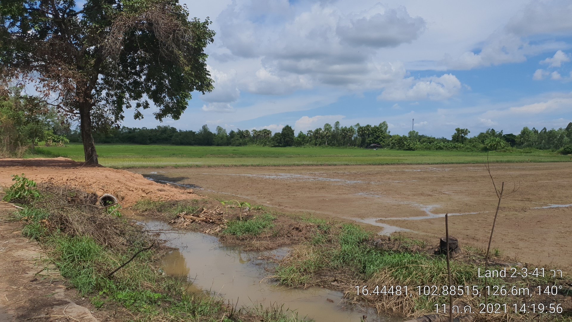ที่ดินเปล่า 2-3-41.4 อ.เมืองขอนเเก่น