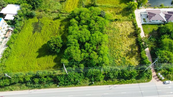 ที่ดินติดถนนชัยภูมิ-บ้านเขว้า  ชัยภูมิ 1 ไร่