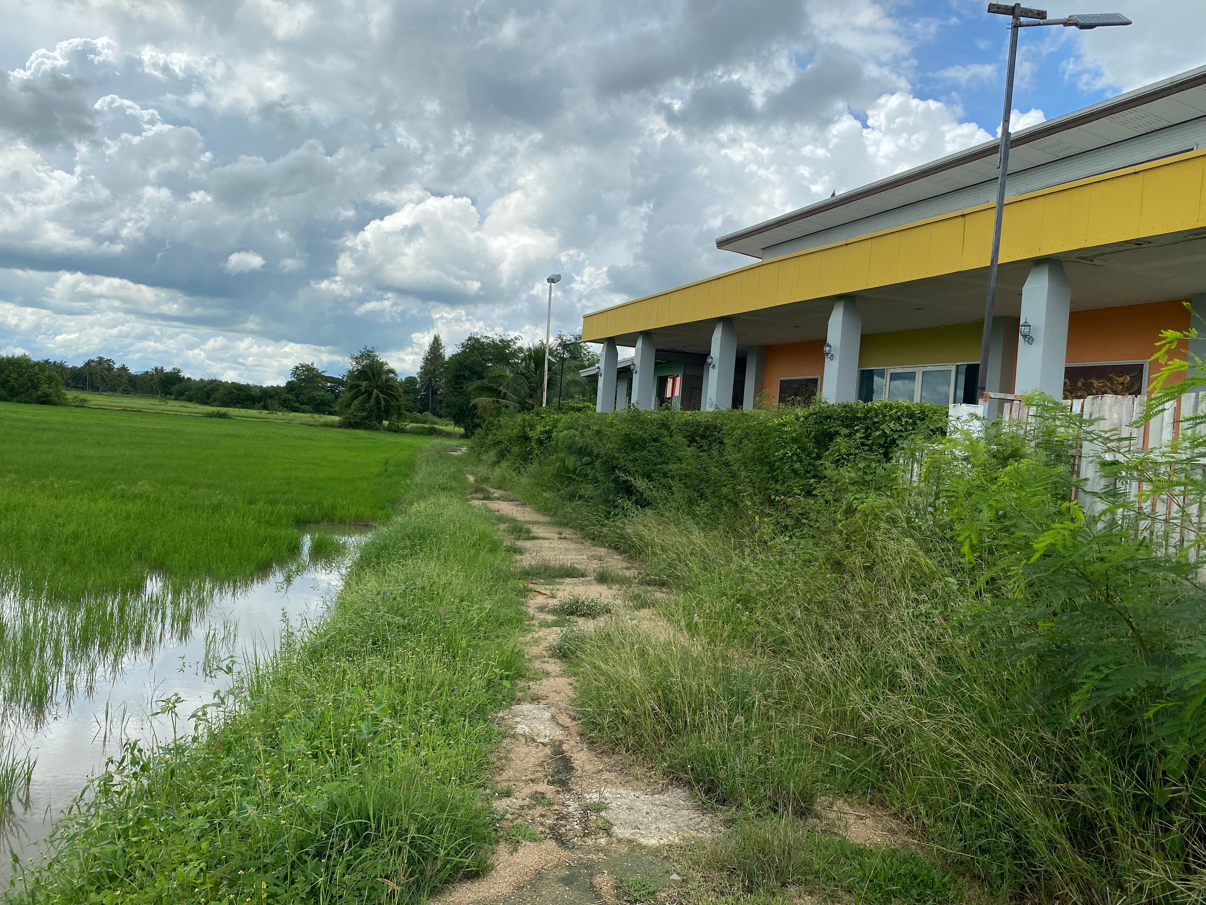 ขายที่ดินชะอำ 10-2-65ไร่ ราคาไร่ละ 2,500,000 ล้านบาท ใกล้ถนนเพชรเกษม 100ม. ห่างจากทะเลชะอำ 10 กม ที่ดินอยู่หลังโรงแรมขันทิมาบูติก