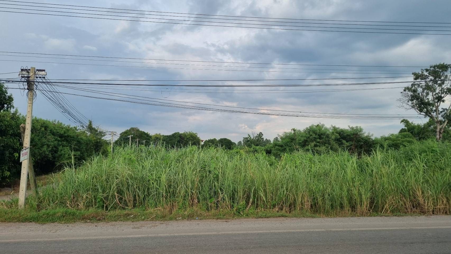 ที่ดินสวย ติดถนน คลอง 13 หนองเสือ ปทุมธานี