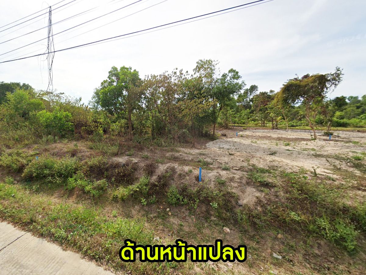 ให้เช่าที่ดินด่วน! ทำเลดี เหมาะการสร้างโกดัง / ทำลานจอดรถ ทางเข้าออกสะดวก คลองเตย สงขลา