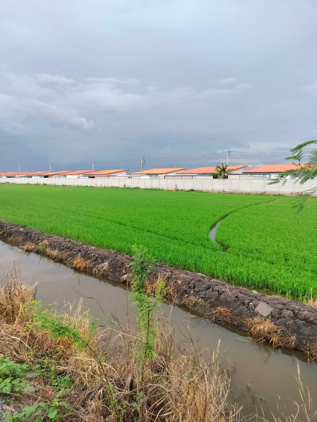 ขายที่ดิน​ ต.คลองหก​ อ.คลองหลวง​ จ.ปทุมธานี