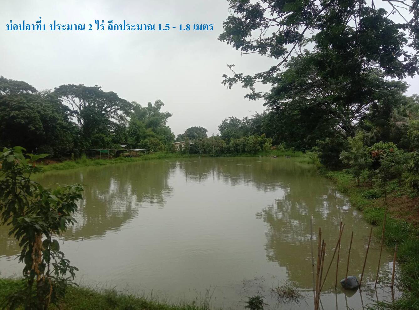  ขายที่ดินสวนผลไม้ อ.ดอยสะเก็ด จ.เชียงใหม่ 6-1-17 ไร่