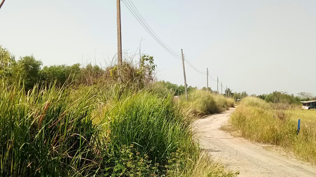 ที่ดินเปล่า องครักษ์ นครนายก 0-0-80