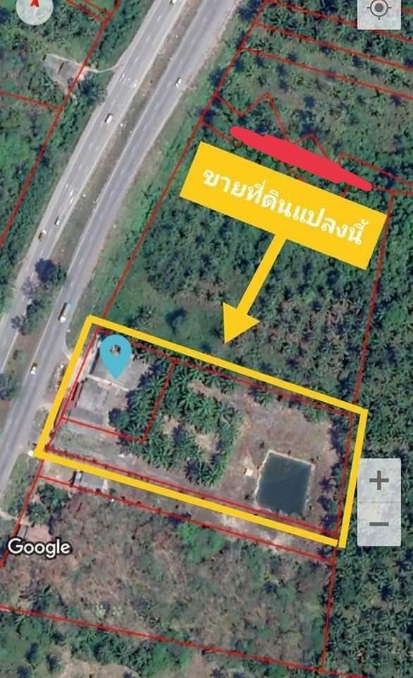 ที่ดินพร้อมสิ่งปลูกสร้าง เมืองชุมพร 5-0-96
