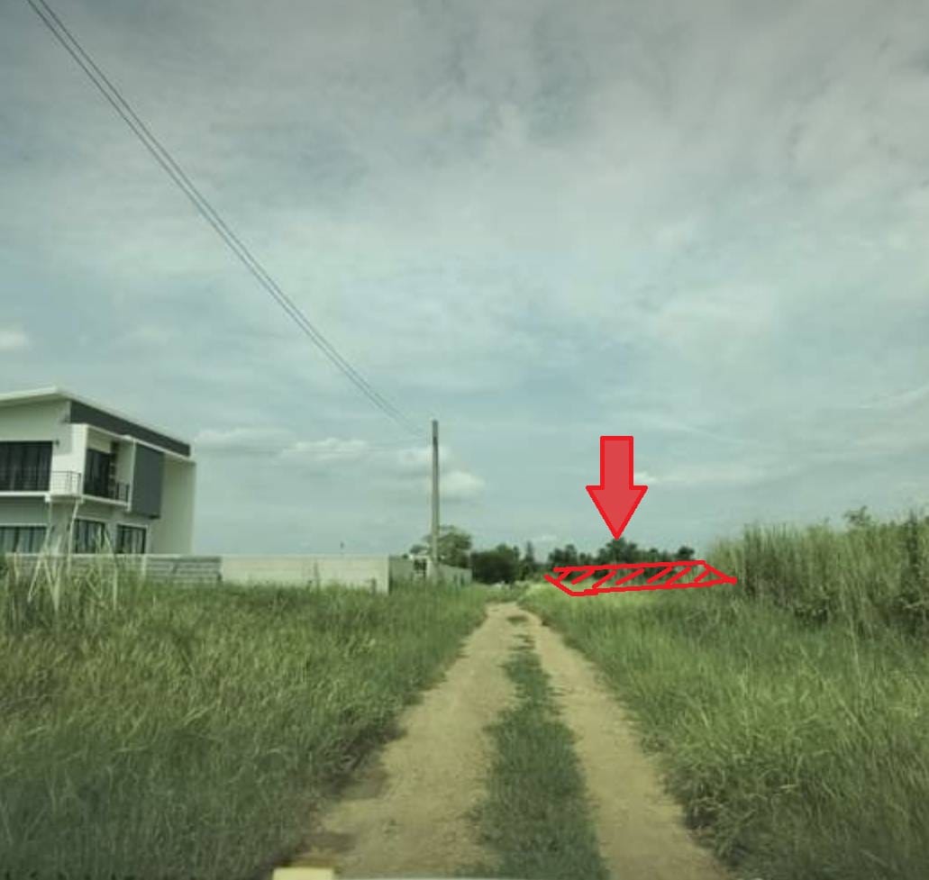 ขายที่ดิน 1 ไร่ (ต่อรองได้ครับ)
