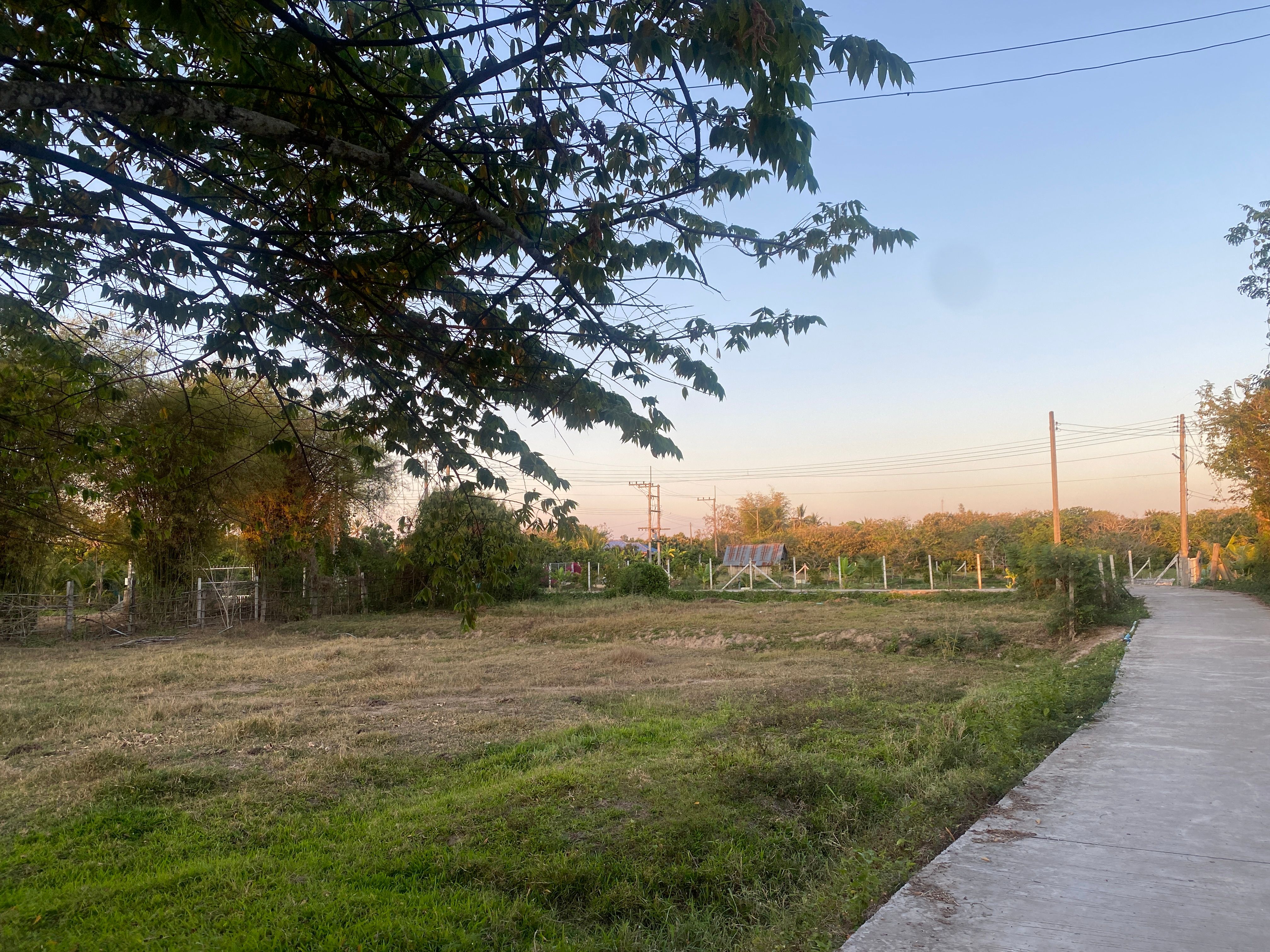 ขายที่ดิน เหมาะสำหรับทำบ้านสวน ใกล้แหล่งชุมชน และรพ