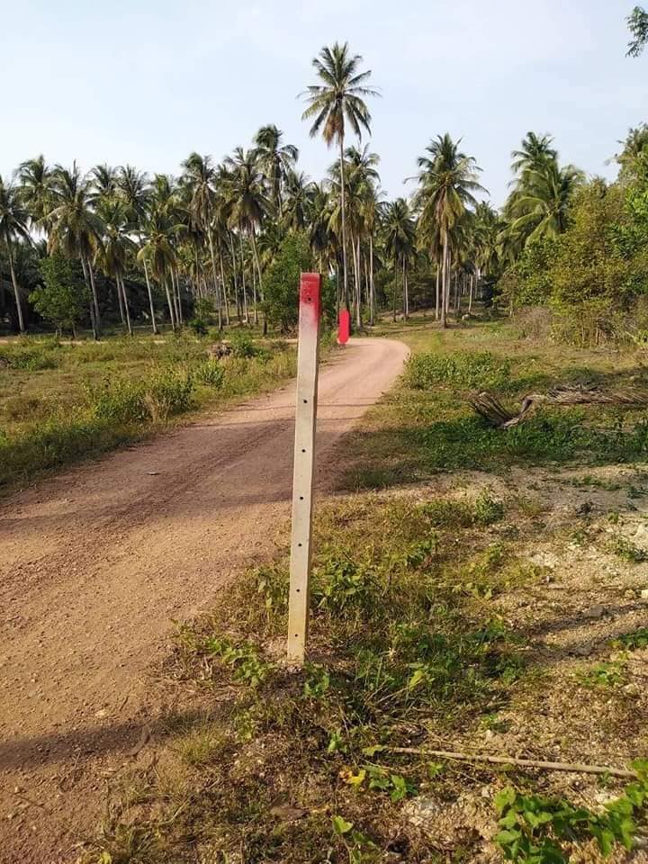 ที่ดินสวนมะพร้าว ทับสะแก จ.ประจวบคีรีขันธ์  9 ไร่