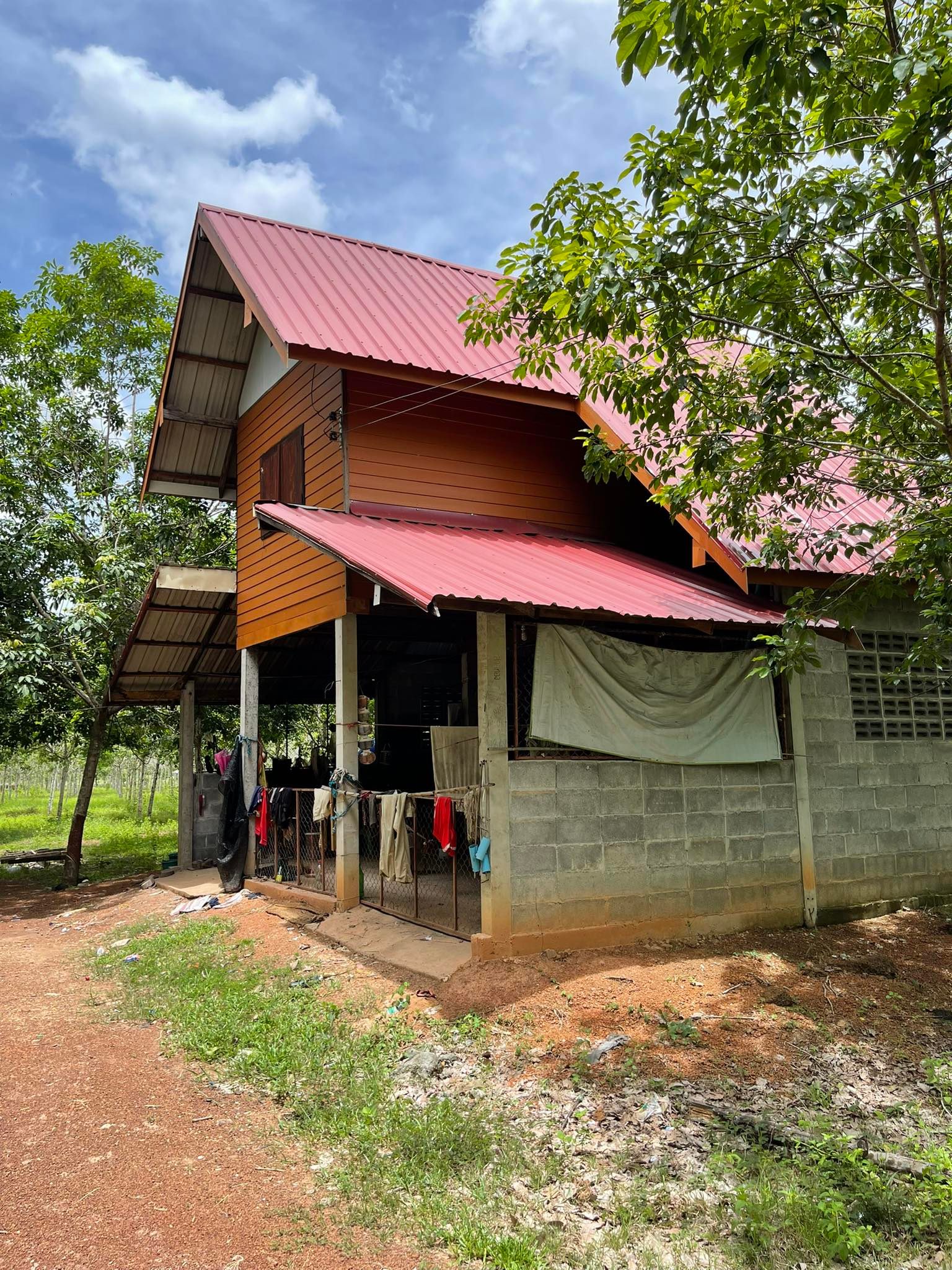 ที่ดินสวนยางพาราพร้อมบ้านสวน อ.วานรนิวาส 28-1-82