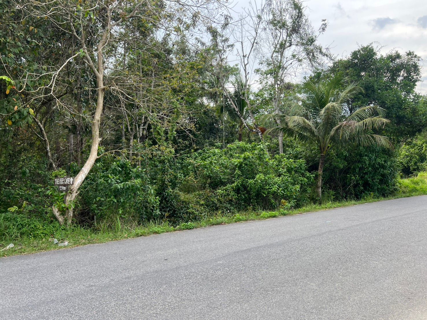 ขายที่ดินสงขลา อำเภอรัตภูมิ ทางเข้าชลประทานท่าชะมวง ด่วน