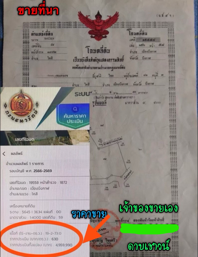 ขายที่นา ที่เปล่า สามารถปลูกปาล์ม ทำนา ได้