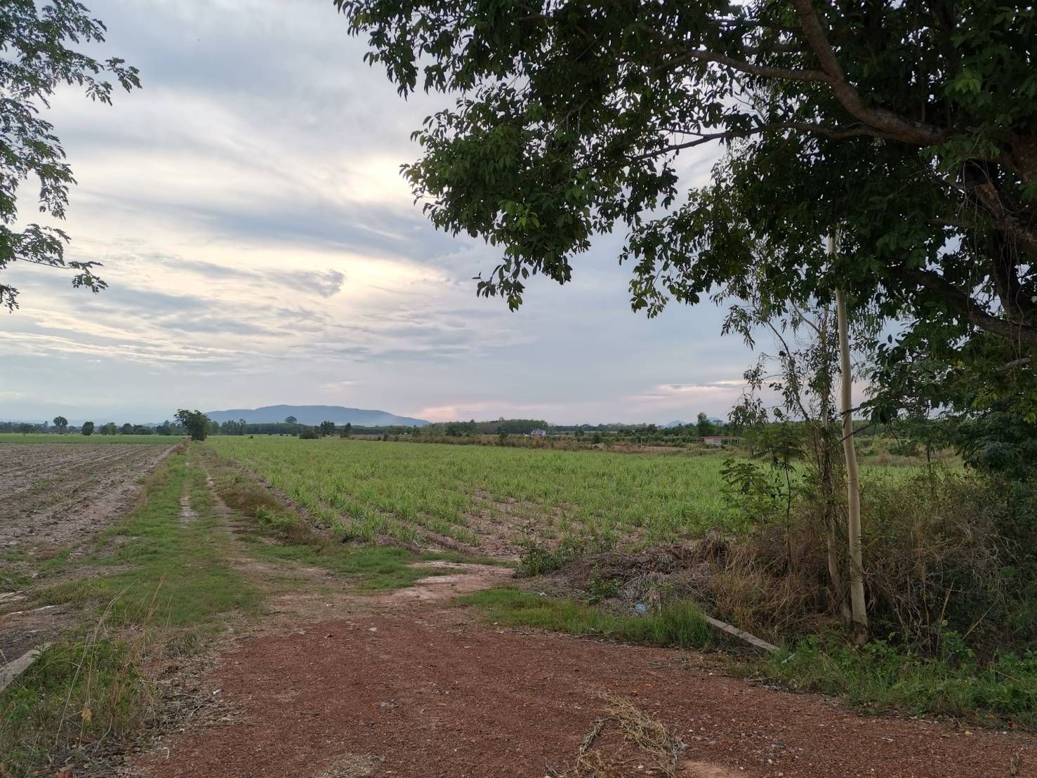 ขายที่ดินกำแพงเพชร ใกล้หมู่บ้าน ในเขตเทศบาล