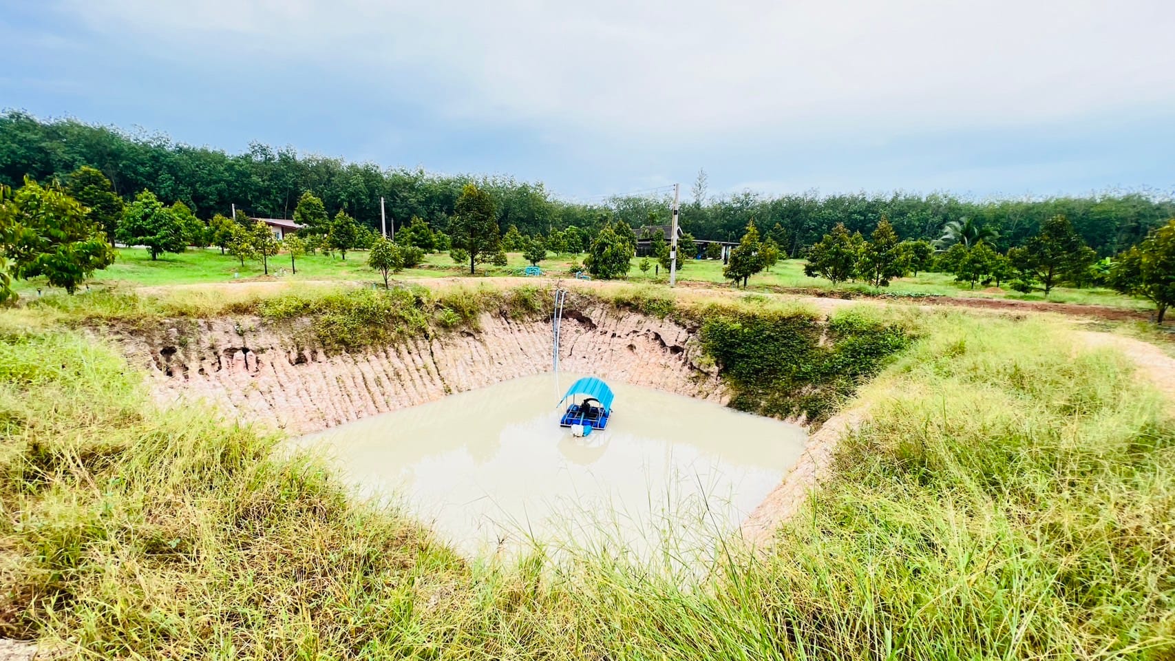 สวนทุเรียน 2 ไร่ 39.1 ให้ผลผลิตแล้ว