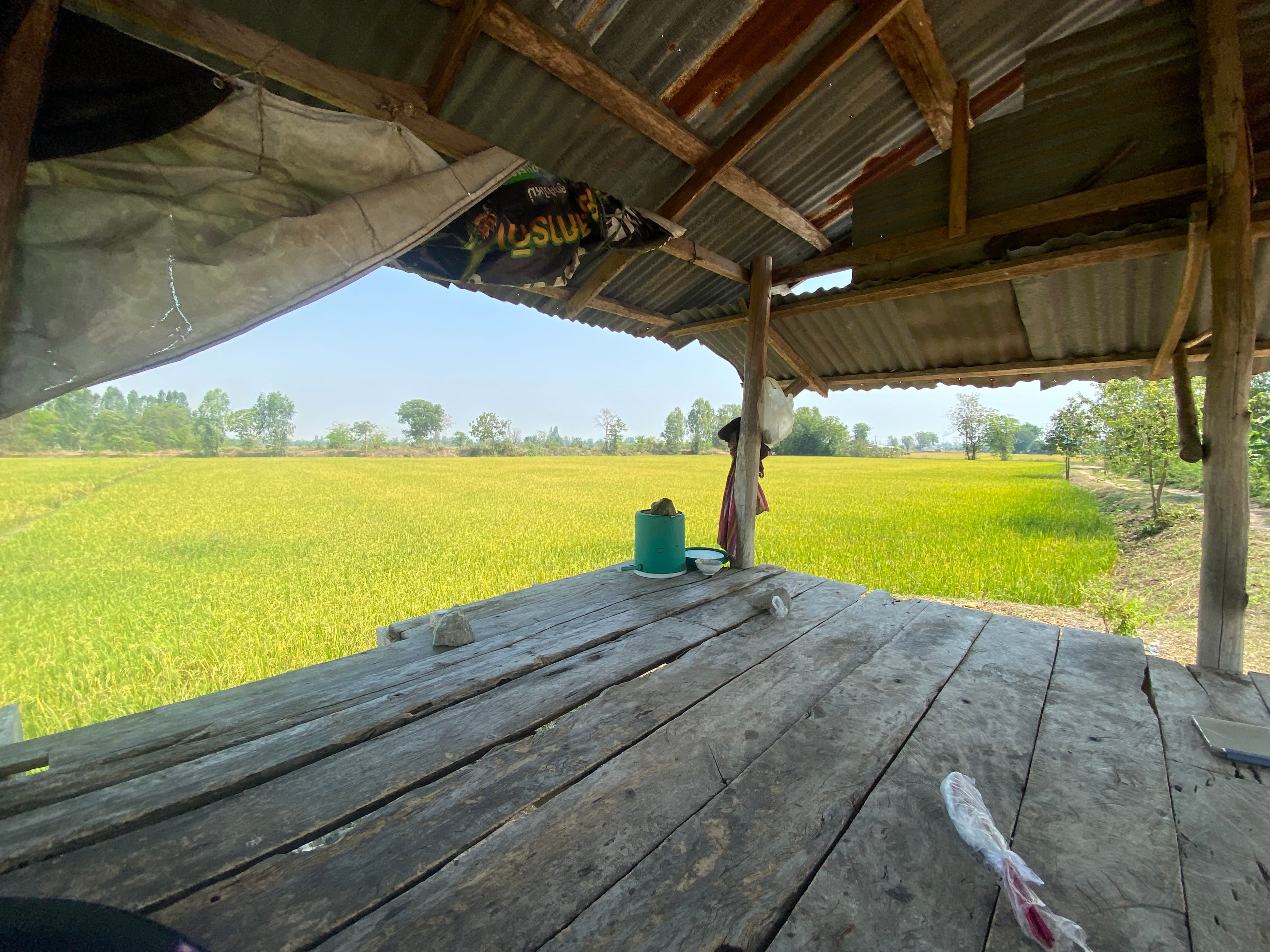 ที่ดินเพื่อการเกษตร