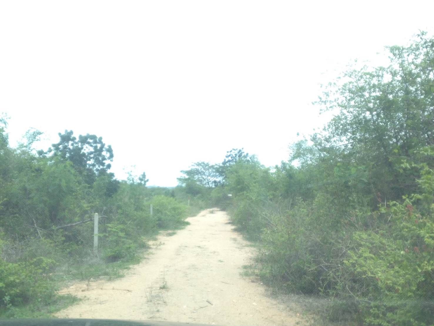 ขายด่วน!!! ที่ดินจัดสรรเหมาะทำพูลวิลล่า ชะอำ หัวหิน ใกล้นิดเดียว