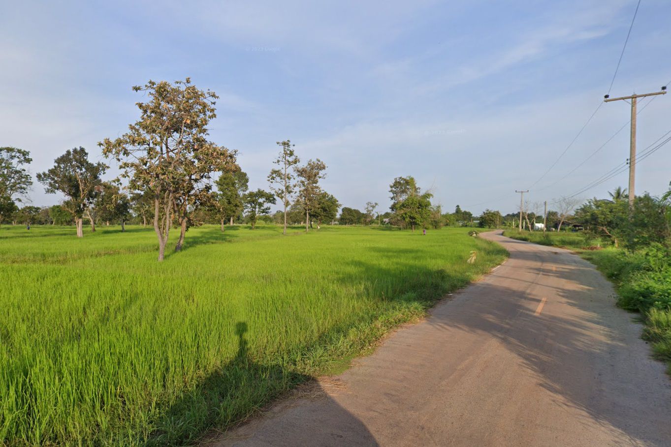 ขายที่ดินอุบลราชธานี 71 ไร่ ใกล้ถนน 4 เลน อ.สำโรง