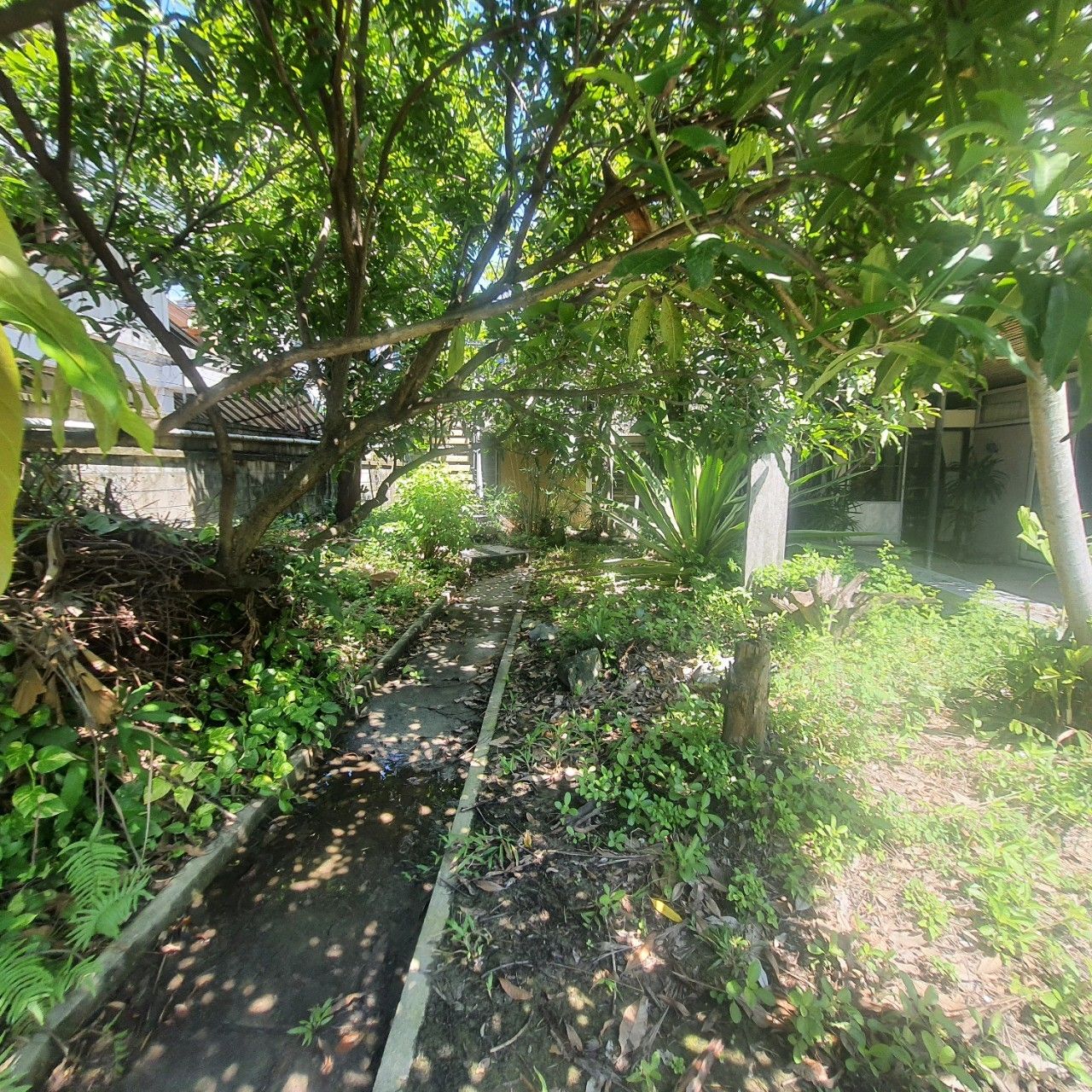ขายบ้านพร้อมที่ดิน ใจกลางปากเกร็ด