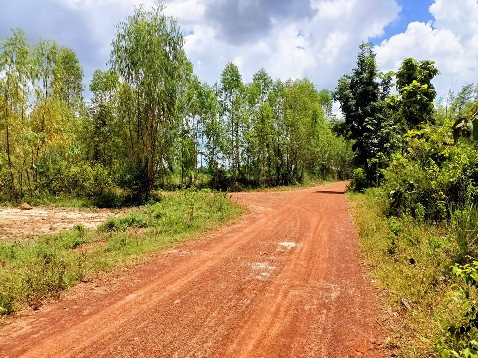 ขายที่ดิน อำเภอเพ็ญจังหวัดอุดรธานี 5-1-20 ไร่