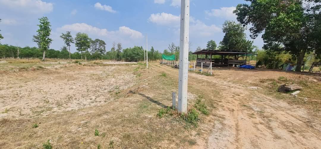 ขายที่ดิน อ.เมือง อุดรธานี