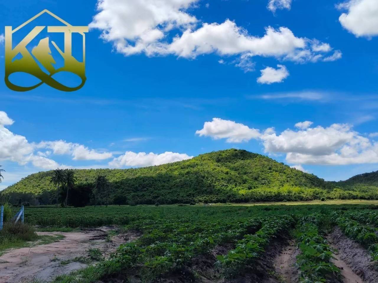 ที่ดินแบ่งขาย เพชรบุรี ชะอำ