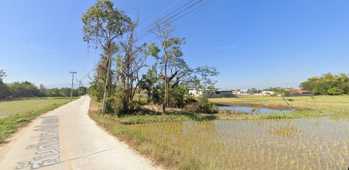ขายที่ดินต้นเปา-แม่คือ-ป่าบง-ดอยสะเก็ดบรรยากาศดี