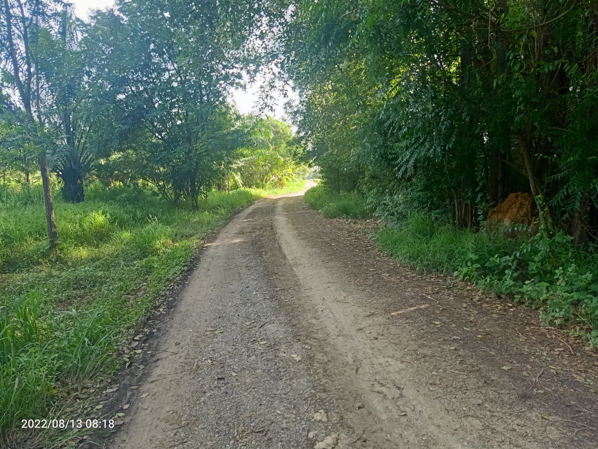 ขายที่ดินประจวบคีรีขันธ์ เมืองประจวบคีรีขันธ์ 9-3-61