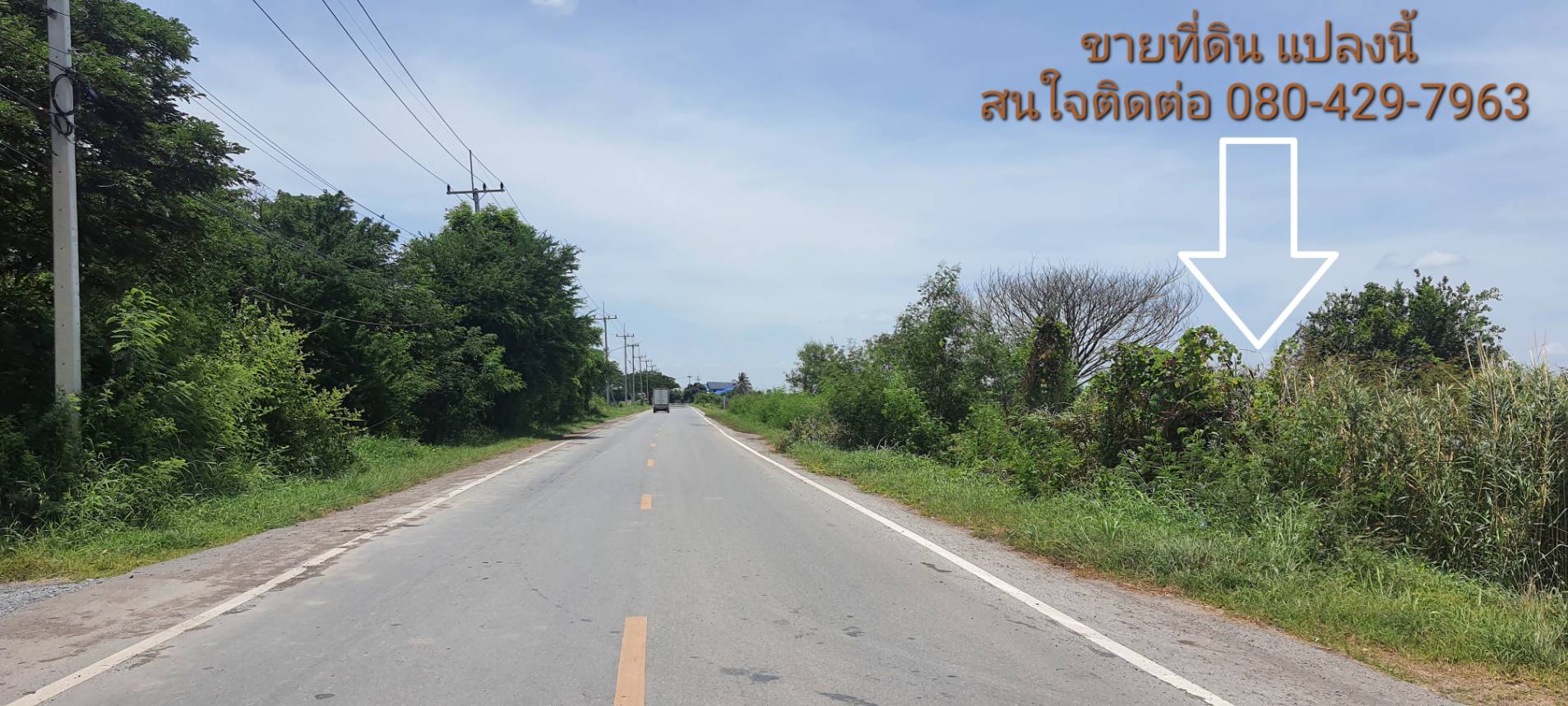 ขายที่ดินพระนครศรีอยุธยา ลาดบัวหลวง 7ไร่