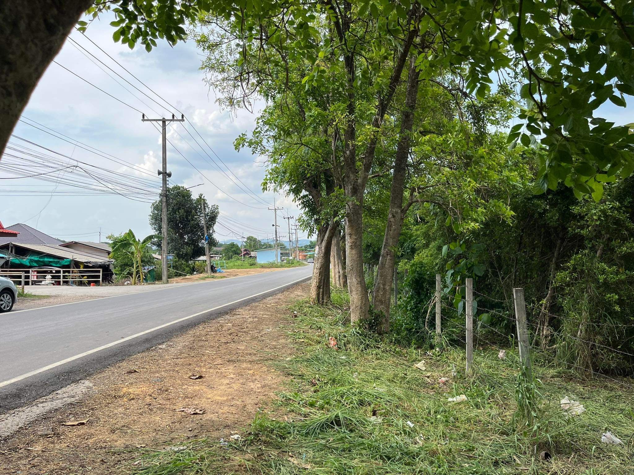 ขายที่ดินแม่ริม เชียงใหม่