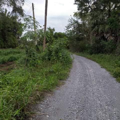ที่ดินแปลงเกษตร สุพรรณบุรี 39-0-6.1