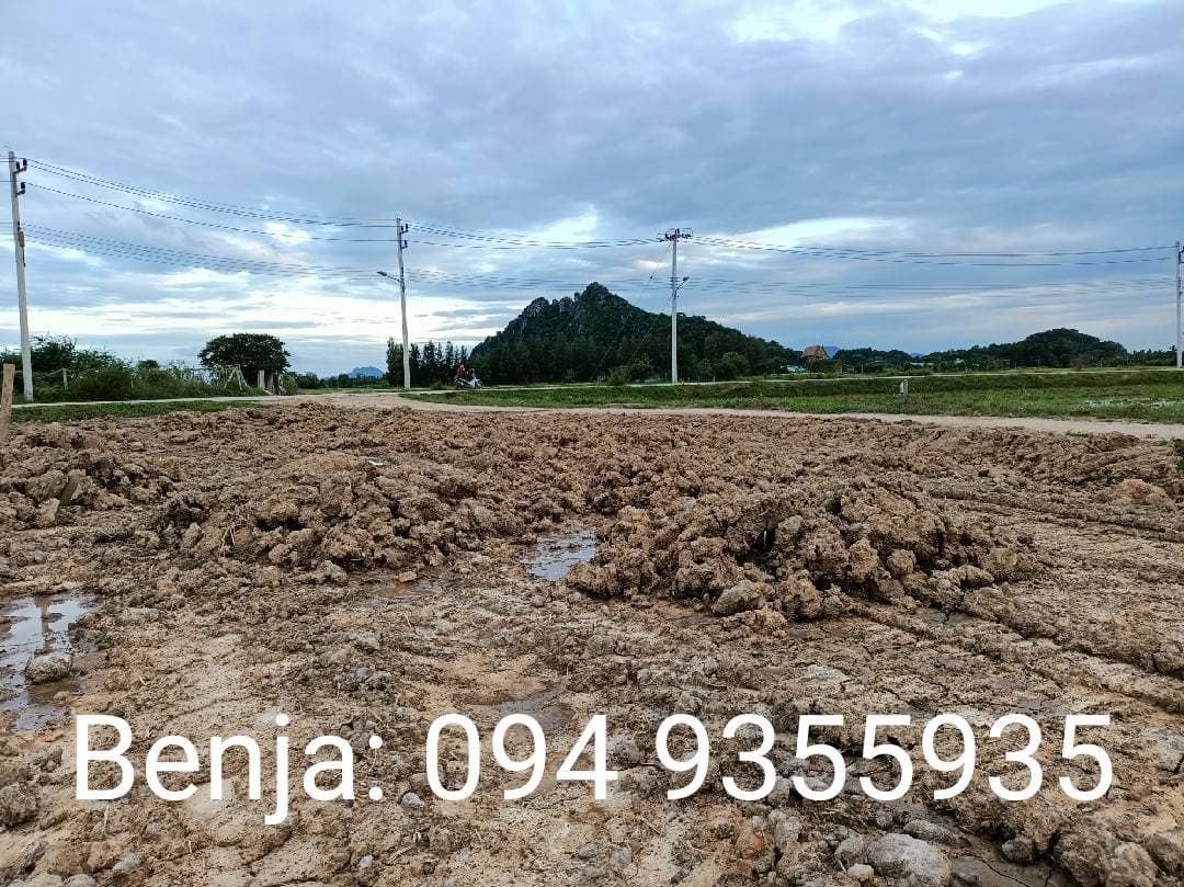 ขายที่ดิน ที่เปล่าแปลงใหญ่ ท่ายาง เพชรบุรี 13-1-99
